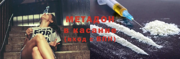 прущие грибы Пролетарск
