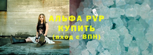 прущие грибы Пролетарск