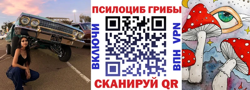 купить   KRAKEN как войти  darknet какой сайт  Туринск  Галлюциногенные грибы GOLDEN TEACHER 